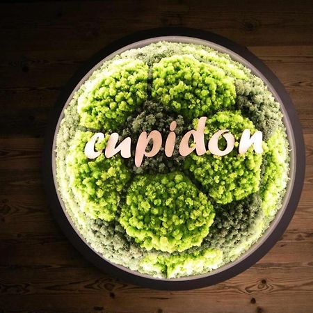 Pensiunea Cupidon Тиргу-Секуєск Екстер'єр фото